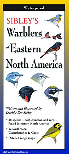Sibley's Warblers of Eastern North America book cover