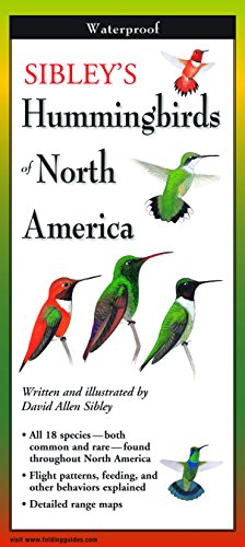 Sibley's Hummingbirds of North America book cover
