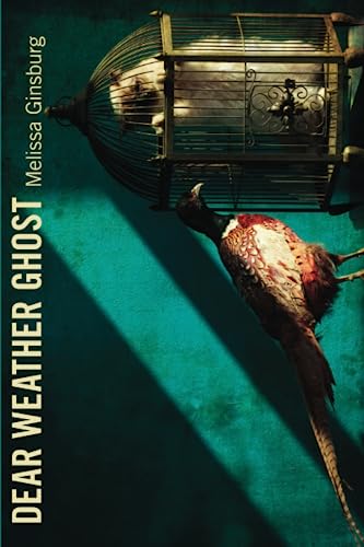 Dear Weather Ghost book cover