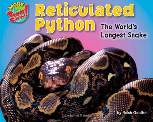 Cover of Reticulated python