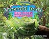 Emerald Boas: Rain Forest Undercover (Disappearing Acts)