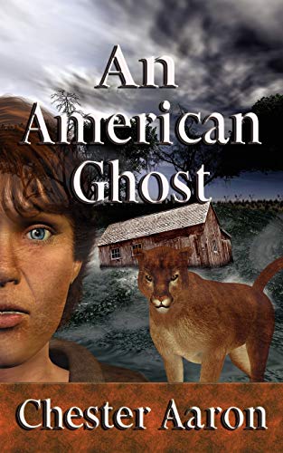Cover of An American ghost