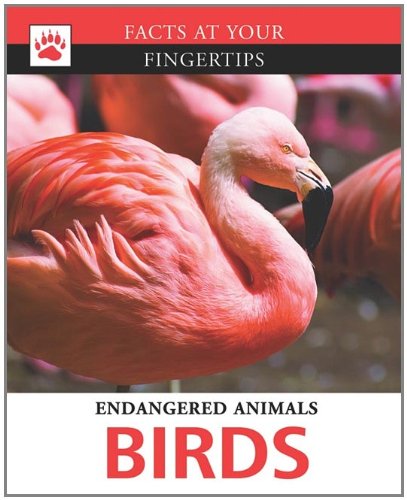 Cover of Birds