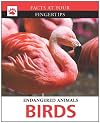 Birds (Facts at Your Fingertips)