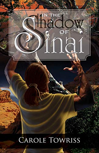 In the Shadow of Sinai book cover