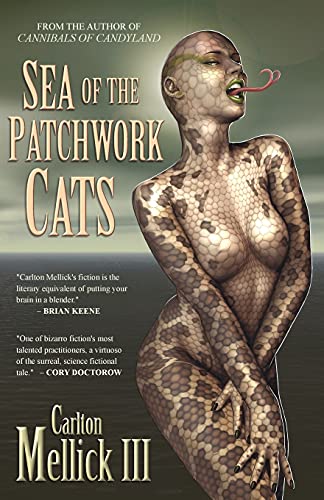 Sea of the Patchwork Cats book cover