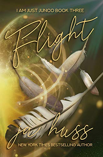 Flight book cover