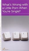 Whats Wrong with a Little Porn When Youre Single?