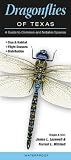 Dragonflies Of Texas A Guide To Common Notable Species