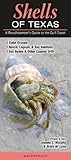 Shells Of Texas A Beachcombers Guide To The Gulf Coast Common And Notable Species