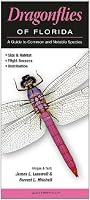 Dragonflies of Florida: A Guide to Common & Notable Species
