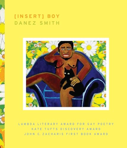 [insert] boy book cover