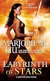 Labyrinth of Stars (A Hunter Kiss Novel)