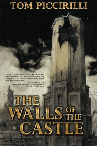 The Walls of the Castle book cover