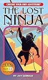 Lost Ninja Choose Your Own Adventure