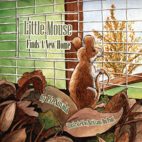 Cover of Little Mouse Finds a New Home