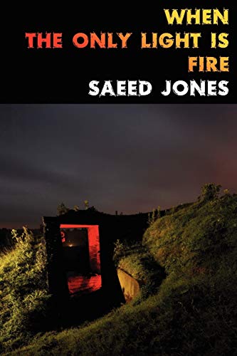 When the Only Light Is Fire book cover