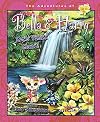 Let's Visit Maui!: Adventures of Bella & Harry