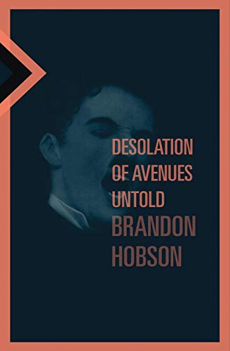 Desolation of Avenues Untold book cover