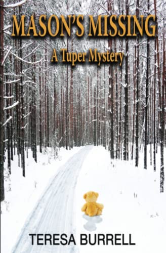 Mason's Missing book cover