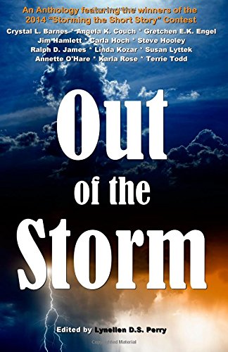 Out of the Storm book cover