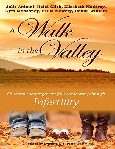 A Walk in the Valley book cover