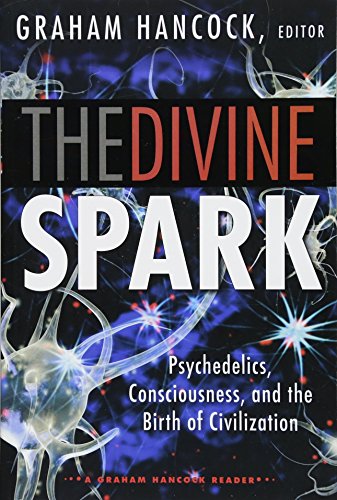The Divine Spark cover