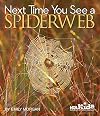 Next Time You See a Spiderweb