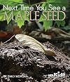 Next Time You See a Maple Seed