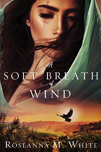 A Soft Breath of Wind book cover