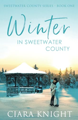 Winter in Sweetwater County book cover