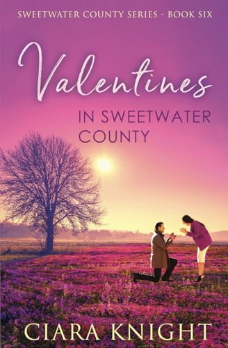 Valentines in Sweetwater County book cover