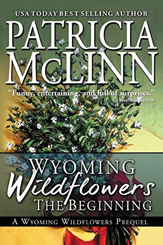 The Beginning book cover