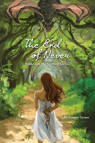 Cover of End of Never