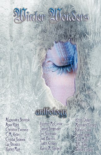 Winter Wonders book cover