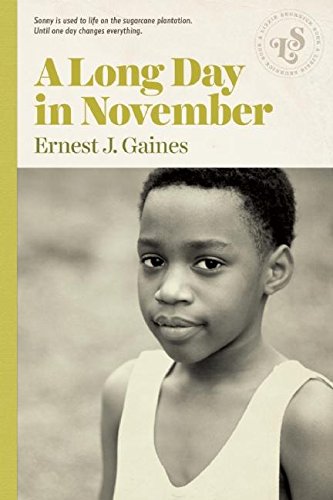 A Long Day in November book cover