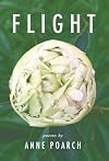 Flight: Of Butterflies and Robins and Other Winged Dreams