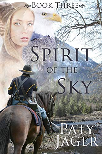 Spirit of the Sky book cover