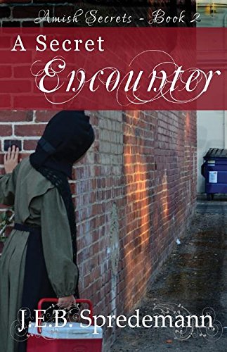 A Secret Encounter book cover
