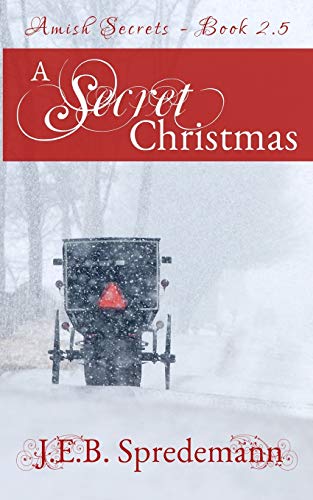 A Secret Christmas book cover