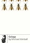 Galaga (Boss Fight Books)