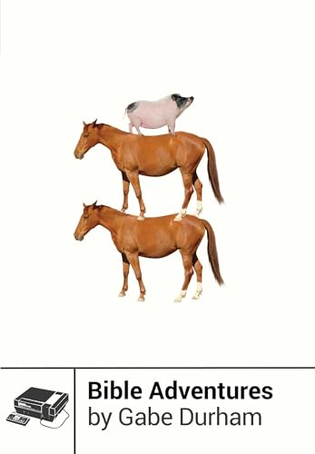 Bible Adventures (By: Gabe Durham) cover