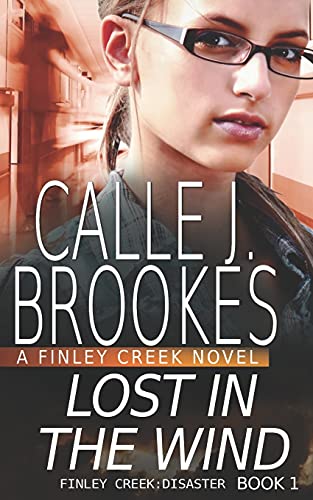 Lost in the Wind book cover