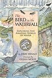 The Bird In The Waterfall Exploring The Wonders Of Water Volume 2 The Wonders Of Nature