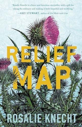 Relief Map book cover