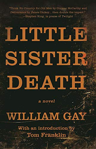 Little Sister Death book cover
