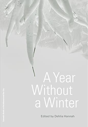A Year Without a Winter book cover