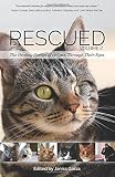 Rescued Volume 2 The Healing Stories Of 12 Cats Through Their Eyes