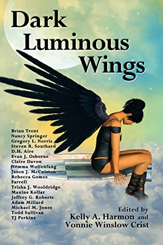 Dark Luminous Wings cover