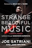 Strange Beautiful Music: A Musical Memoir